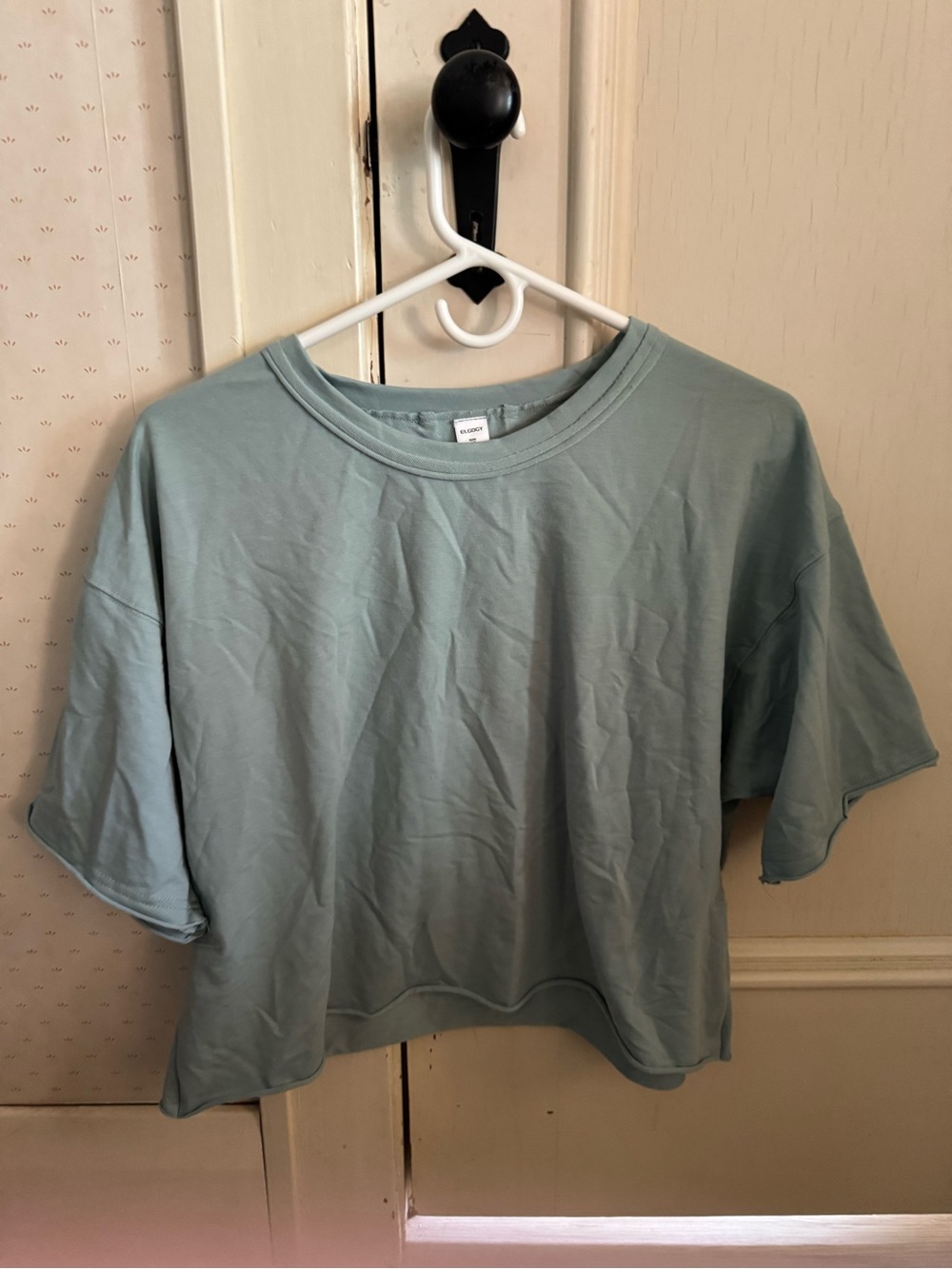 Amazon Light Sage Green Cropped Boxy Tee